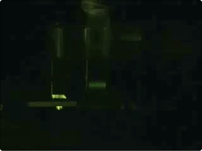 magnetofluorescence 1